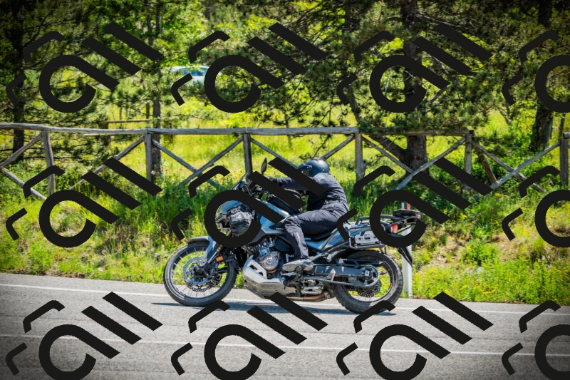 202506021120-DSC03517_c1_