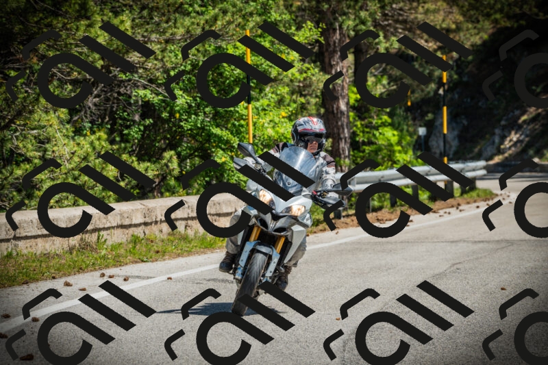 202506021120-DSC03519_c1_