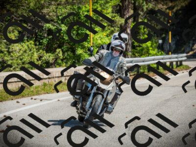 202506021120-DSC03524_c1_