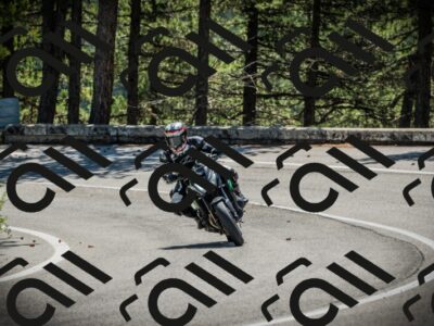 202506021121-DSC03528_c1_