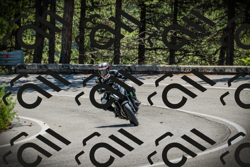 202506021121-DSC03528_c1_