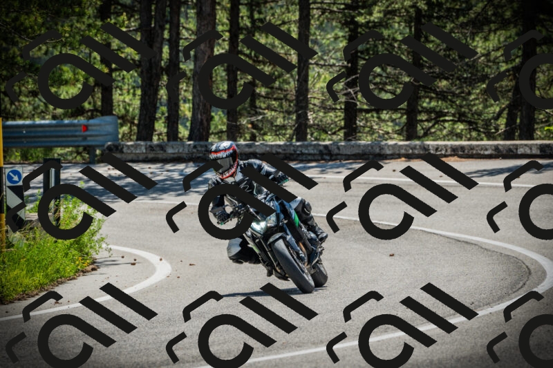 202506021121-DSC03529_c1_