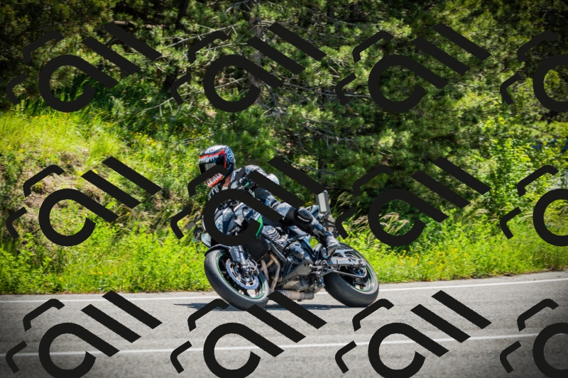 202506021121-DSC03530_c1_