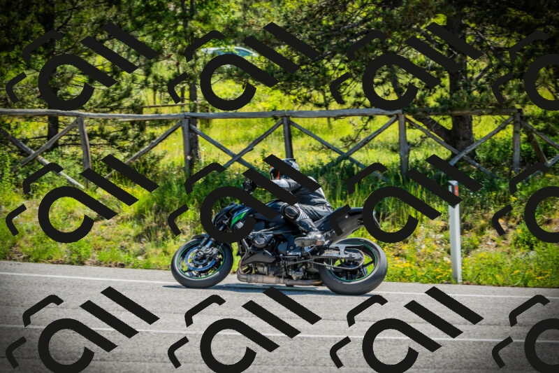 202506021121-DSC03531_c1_