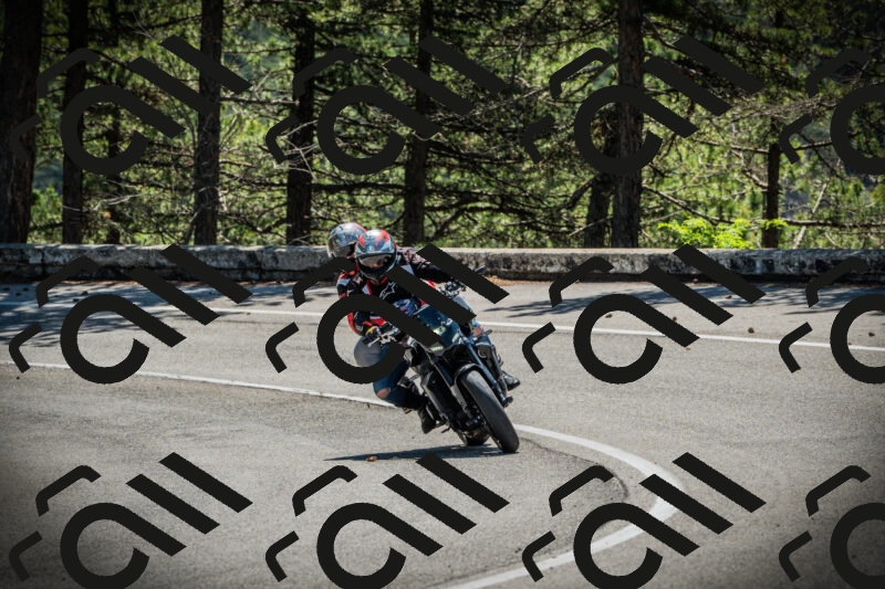 202506021121-DSC03533_c1_