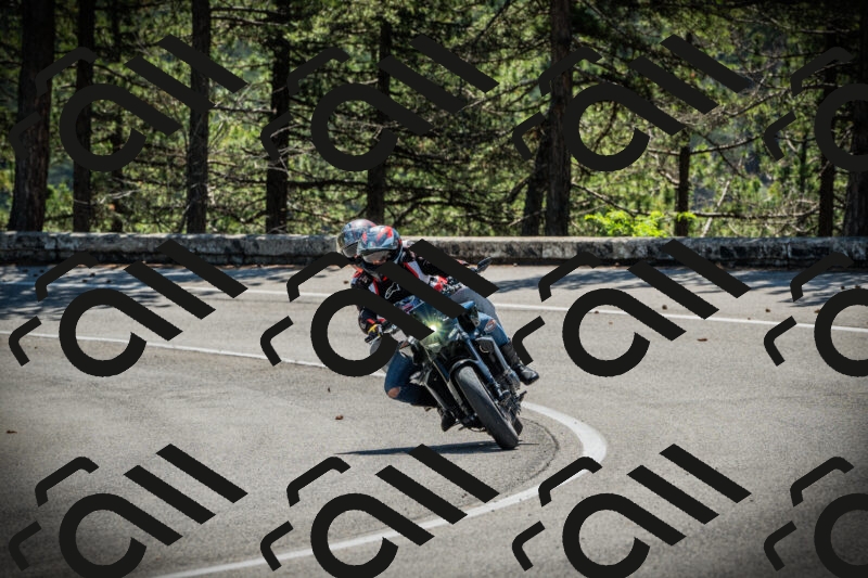 202506021121-DSC03534_c1_