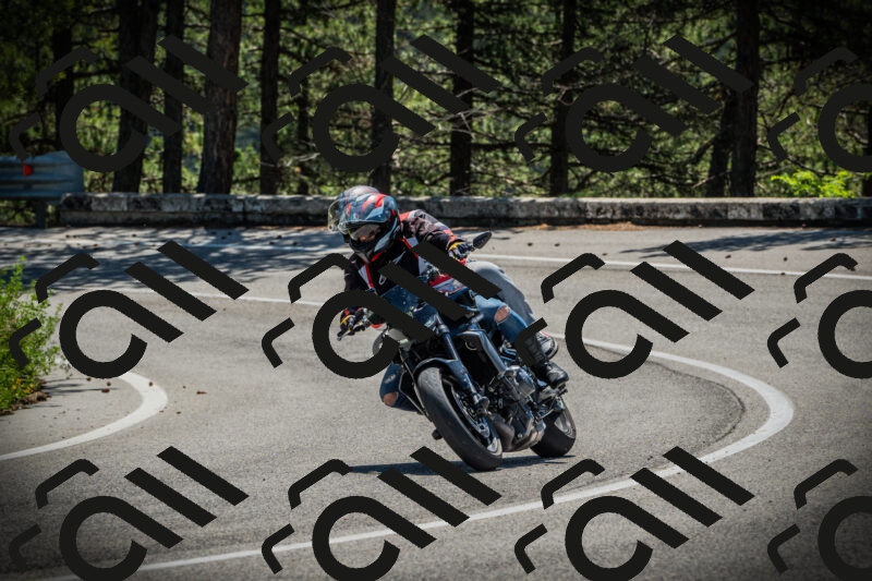 202506021121-DSC03535_c1_