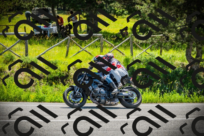 202506021121-DSC03536_c1_