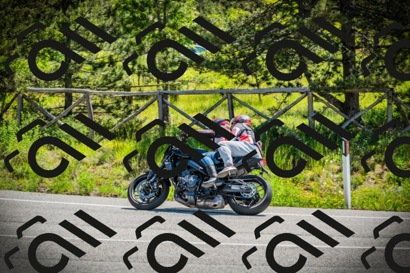 202506021121-DSC03537_c1_