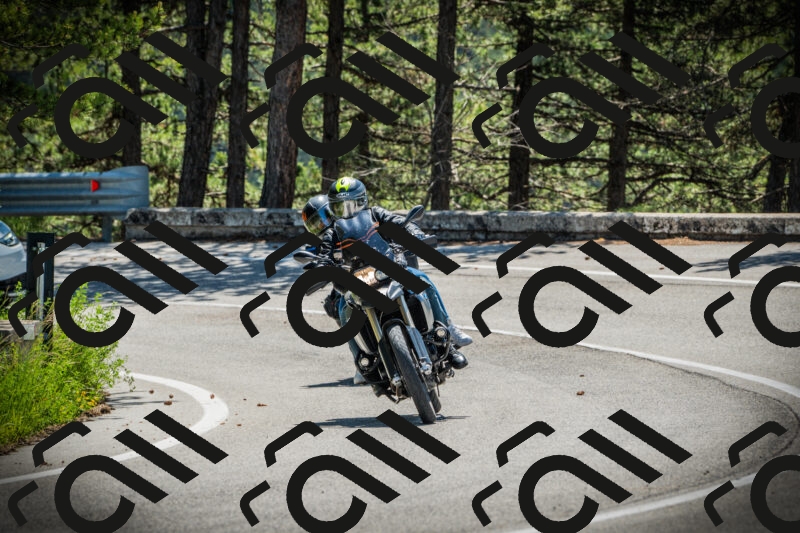 202506021122-DSC03539_c1_