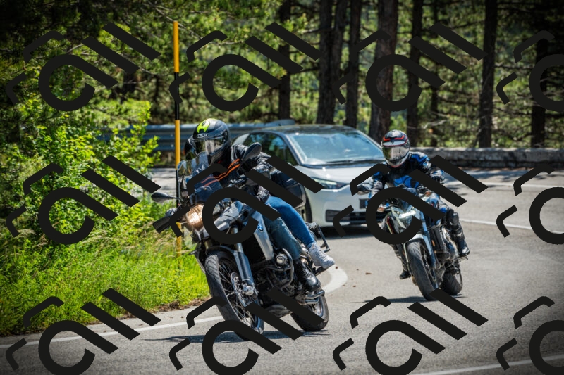 202506021122-DSC03541_c1_