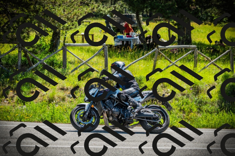 202506021122-DSC03543_c1_