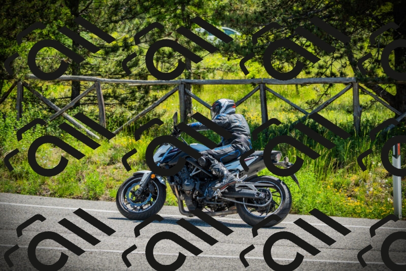 202506021122-DSC03544_c1_