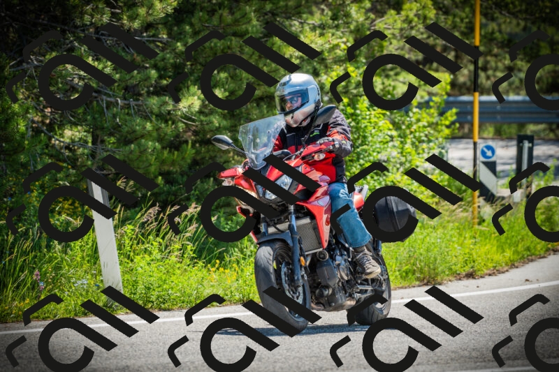 202506021122-DSC03545_c1_