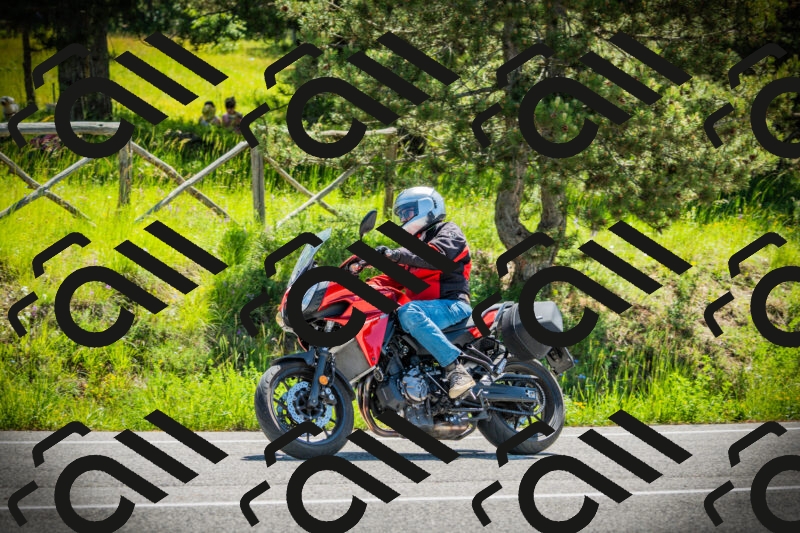 202506021122-DSC03546_c1_