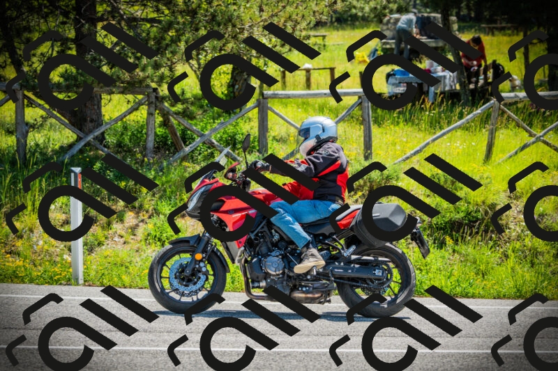 202506021122-DSC03547_c1_