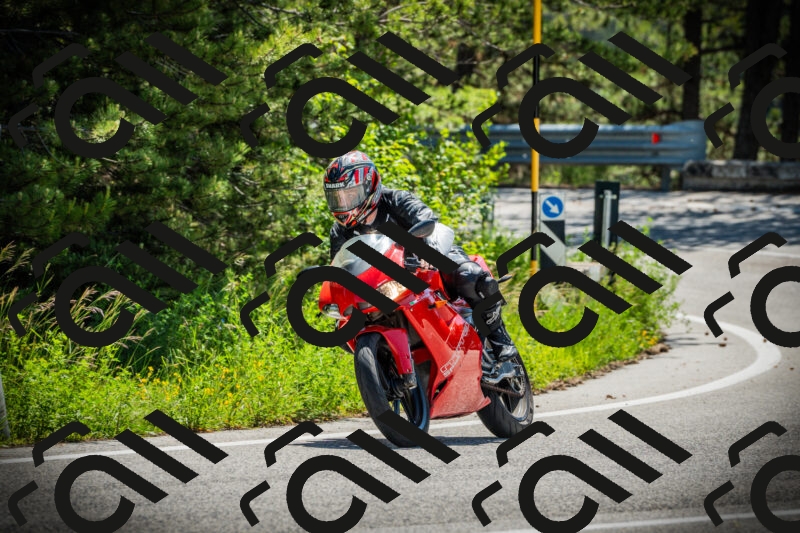 202506021122-DSC03552_c1_