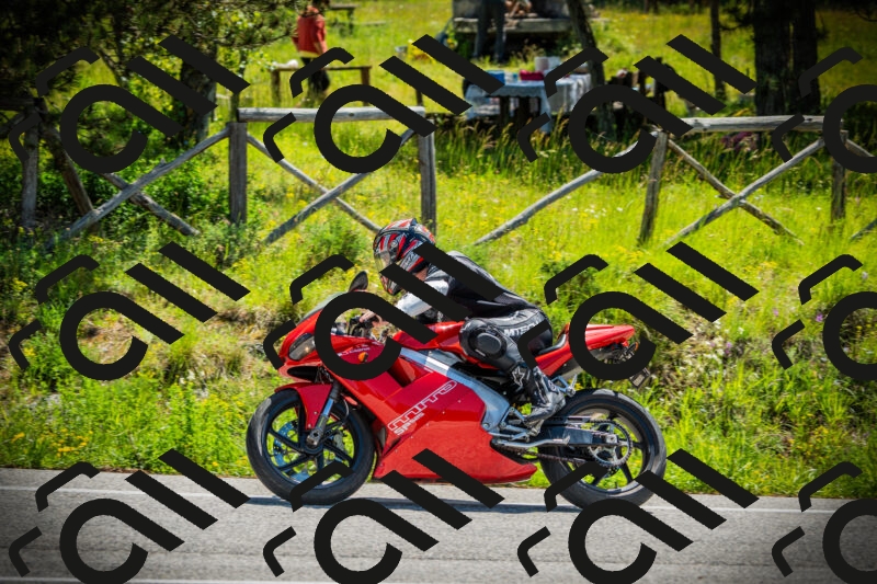 202506021122-DSC03553_c1_