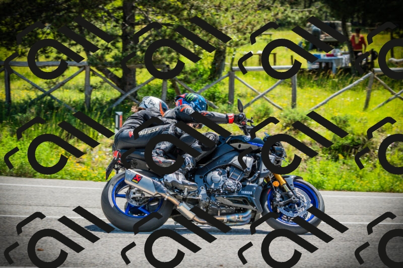 202506021122-DSC03557_c1_