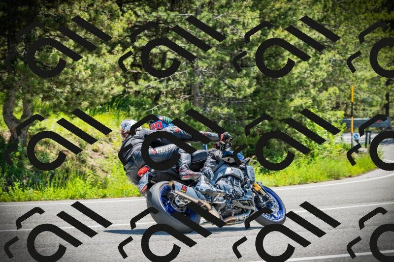 202506021122-DSC03558_c1_