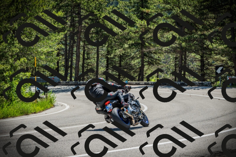 202506021122-DSC03559_c1_