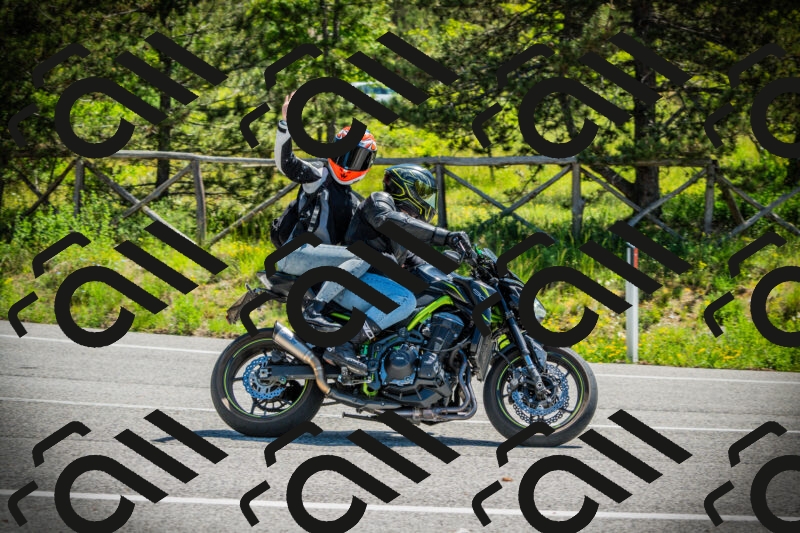 202506021122-DSC03562_c1_