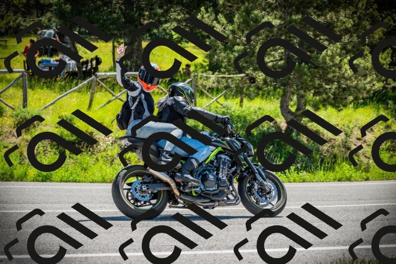 202506021122-DSC03563_c1_