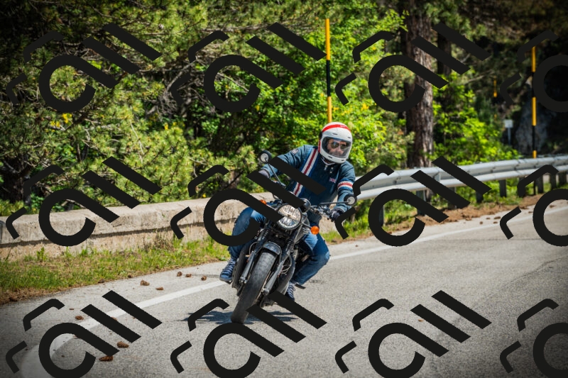 202506021125-DSC03578_c1_