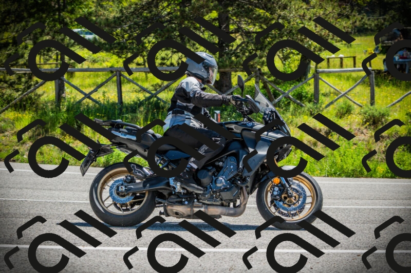 202506021126-DSC03583_c1_