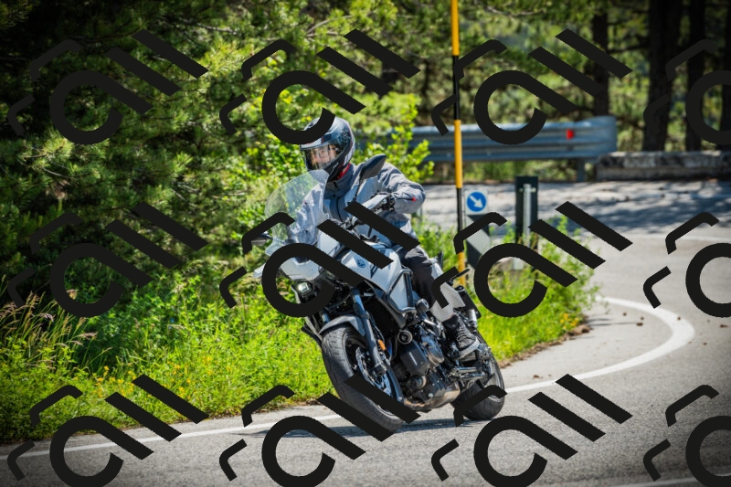 202506021126-DSC03588_c1_