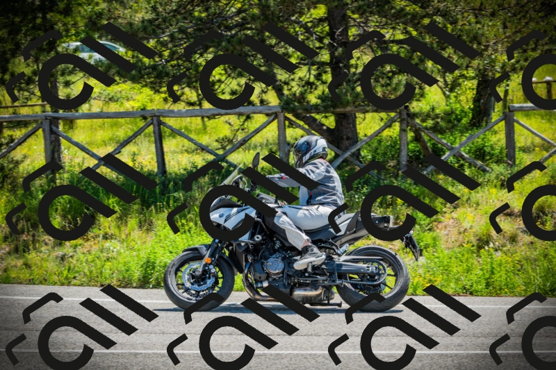 202506021126-DSC03589_c1_