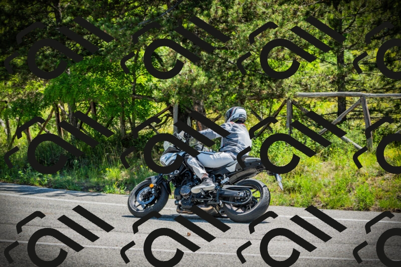 202506021126-DSC03590_c1_