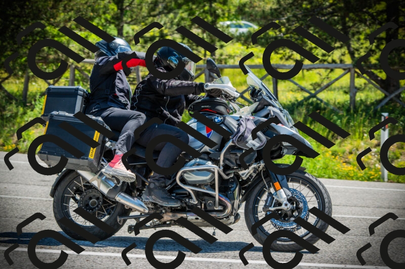 202506021127-DSC03601_c1_