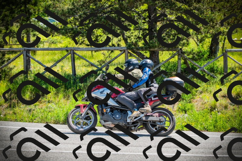 202506021127-DSC03612_c1_