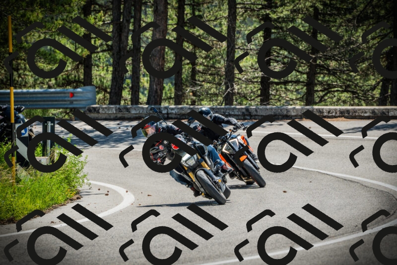 202506021128-DSC03614_c1_