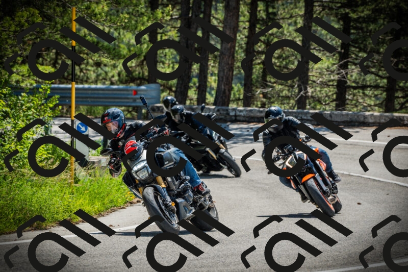 202506021128-DSC03615_c1_