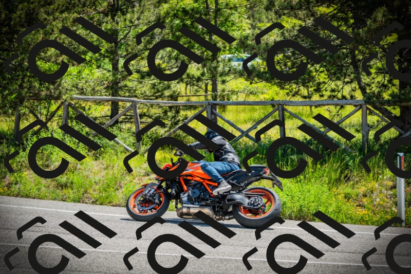 202506021128-DSC03618_c1_