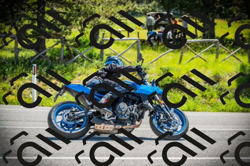 202506021128-DSC03641_c1_