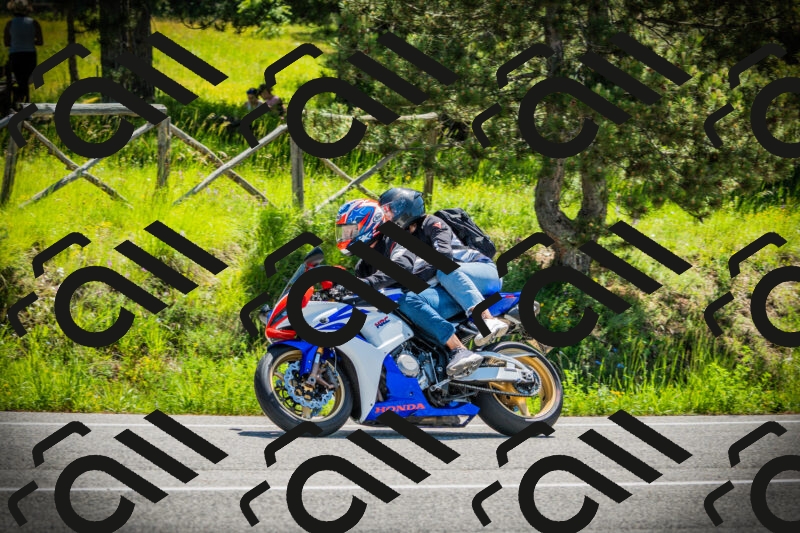 202506021129-DSC03644_c1_