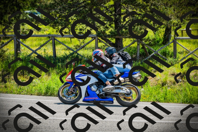 202506021129-DSC03645_c1_