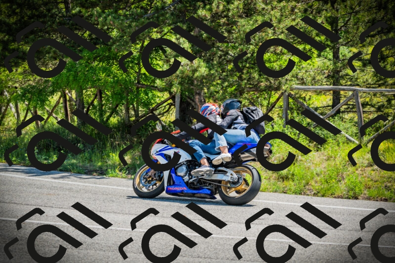 202506021129-DSC03646_c1_