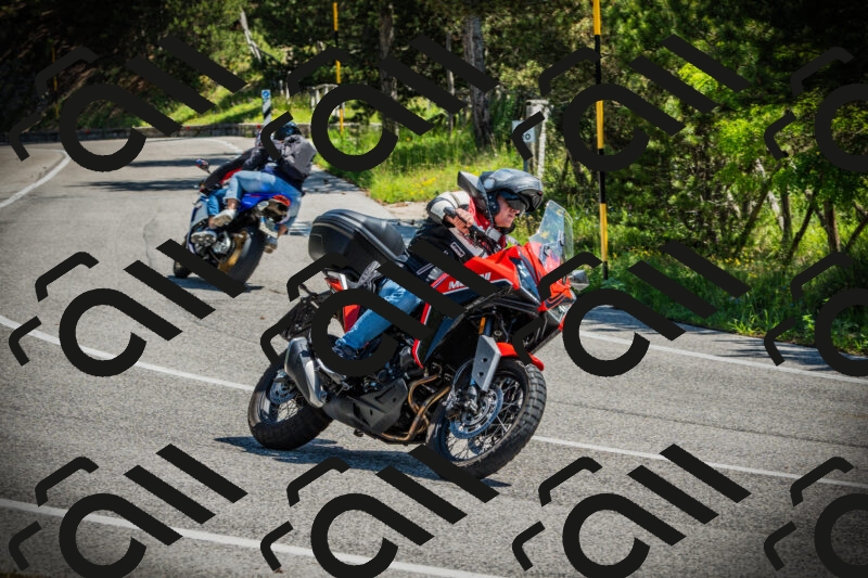 202506021129-DSC03647_c1_