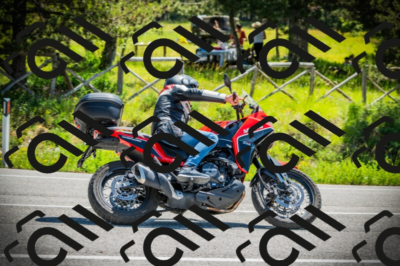 202506021129-DSC03648_c1_