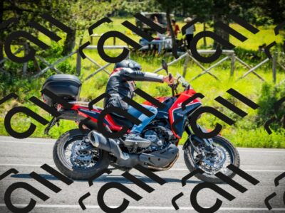 202506021129-DSC03648_c1_