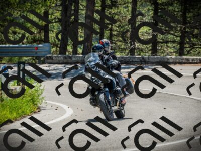 202506021129-DSC03651_c1_