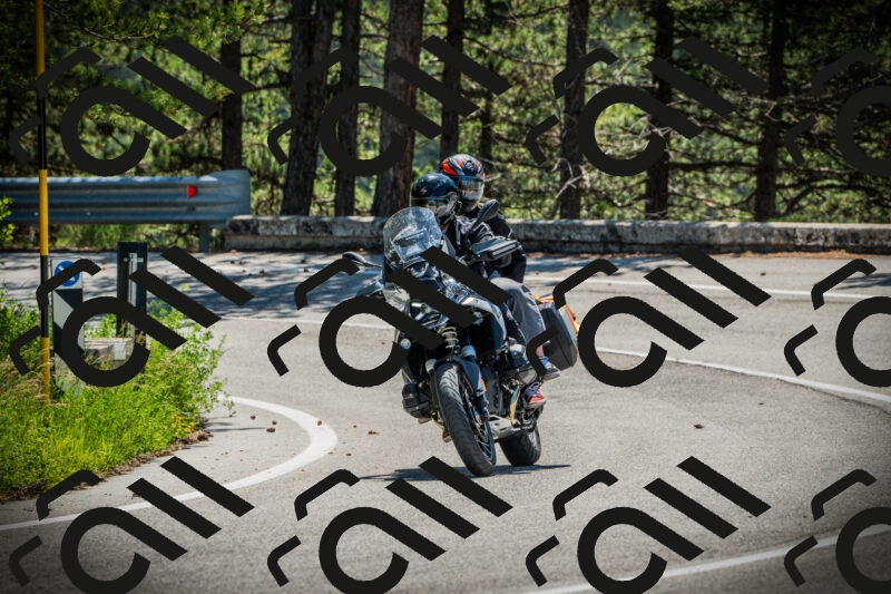 202506021129-DSC03651_c1_