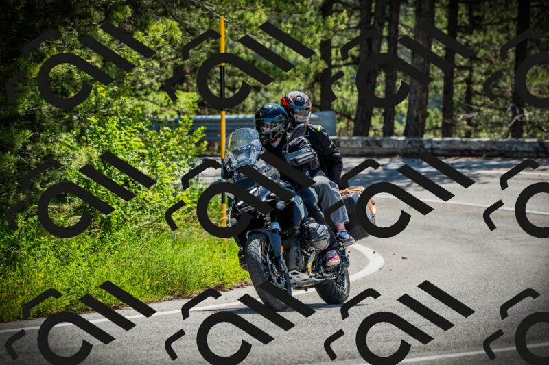 202506021129-DSC03652_c1_