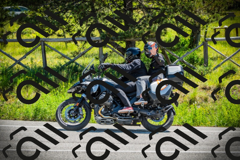 202506021129-DSC03654_c1_