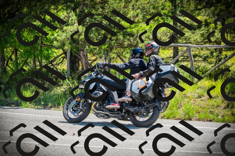 202506021129-DSC03655_c1_