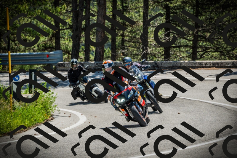 202506021129-DSC03656_c1_